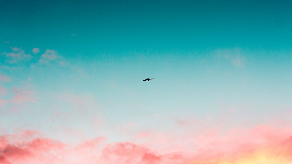 Bunter Himmel mit freiem Vogel