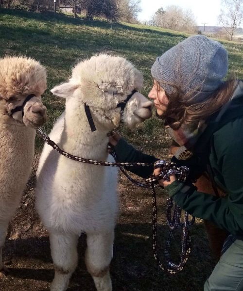 Frau mit Alpakas